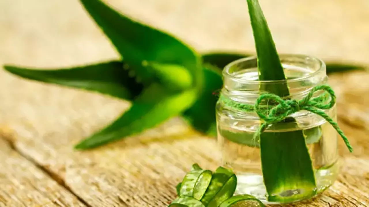 Aloe Vera'nın Cilt Sağlığına Olumlu Ve Olumsuz Etkileri