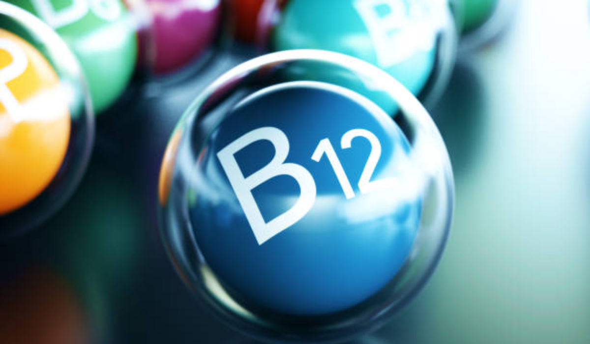 B12 Vitamini İçeren Besinler