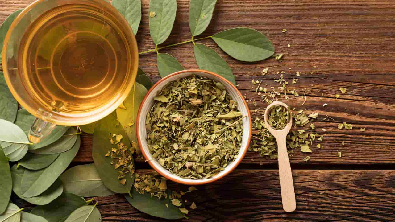 Yeşil Çay Yaprağı Ekstresinin Faydaları: